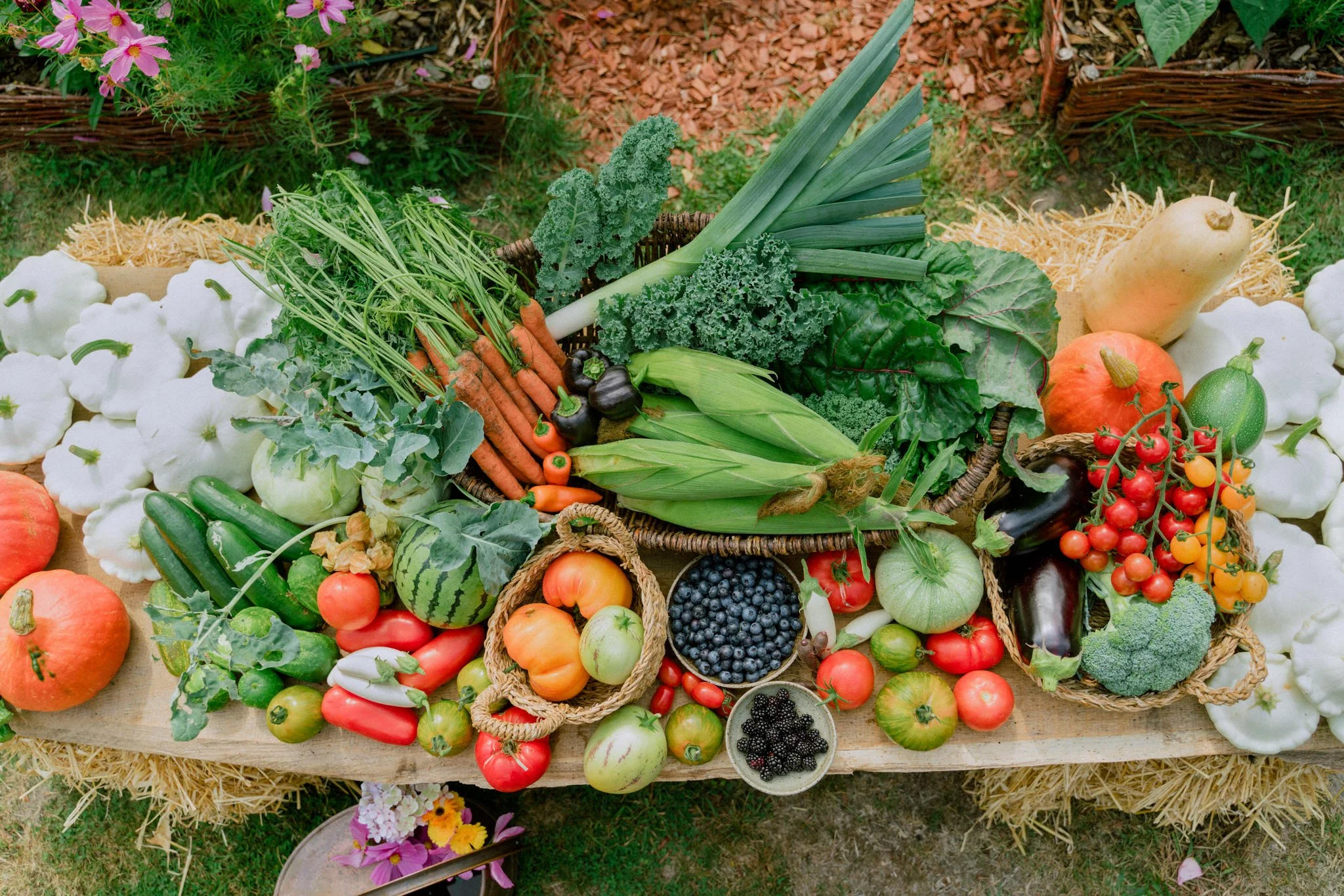 Transforming My Empty Backyard into a Heavenly Vegetable Garden